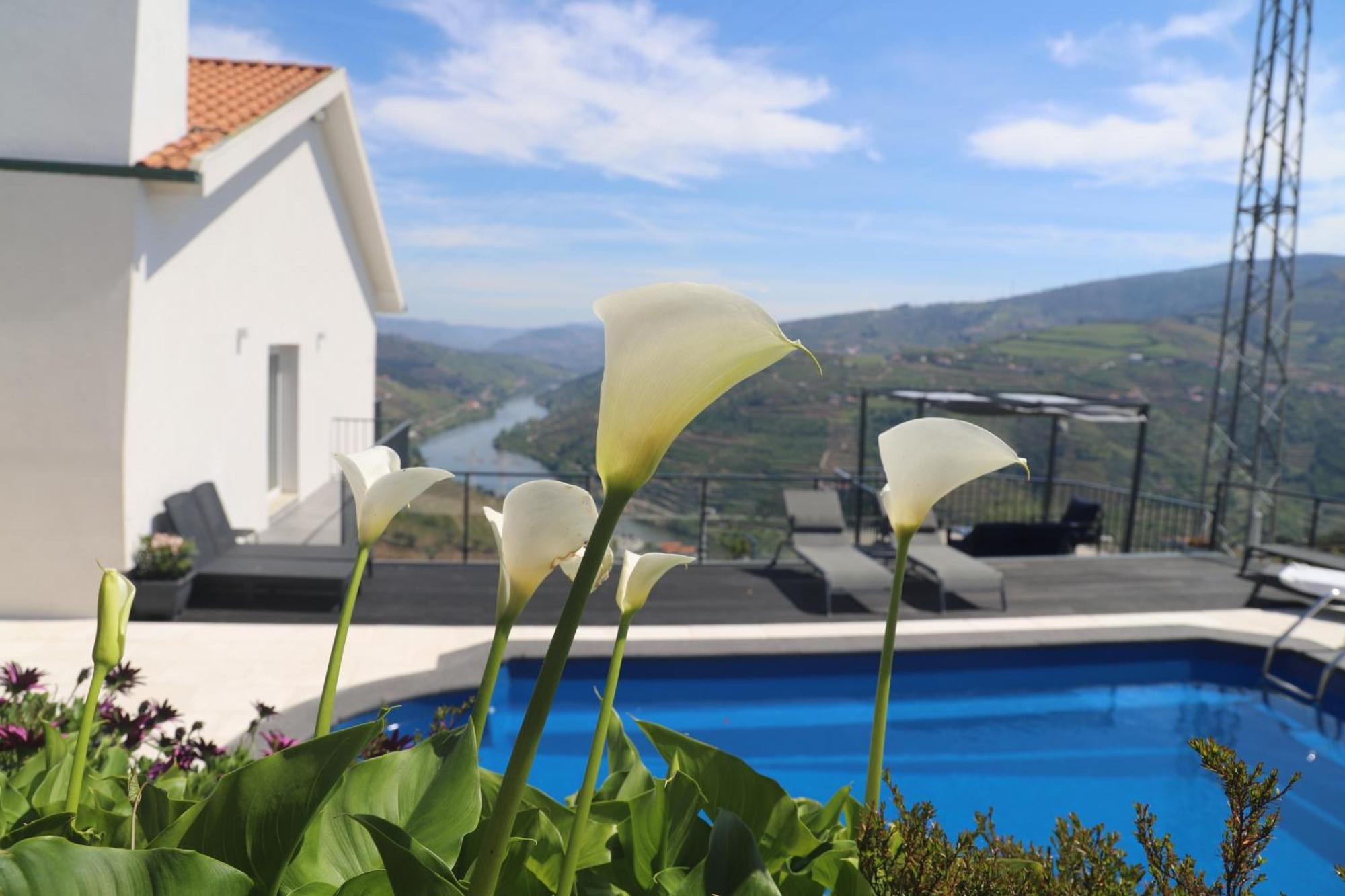 Casa Vale Do Douro Bed & Breakfast Mesão Frio Exterior foto